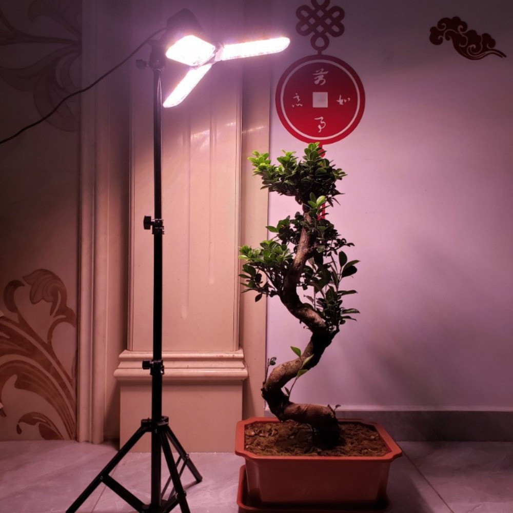 Подставка для лампочки 2 м, цо – обзор и цена Photography Lighting Studio